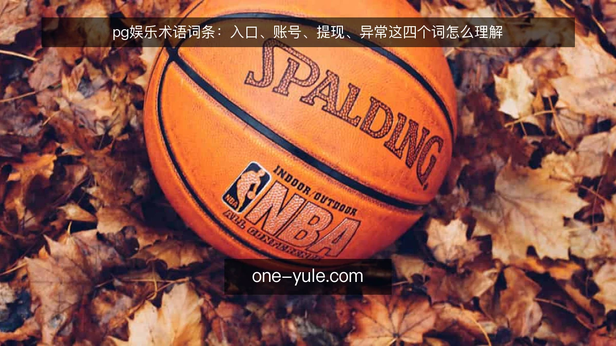 pg娱乐术语词条:入口、账号、提现、异常这四个词怎么理解